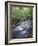 Tennessee, Great Smoky Mountains National Park, a Mountain Stream-Christopher Talbot Frank-Framed Photographic Print