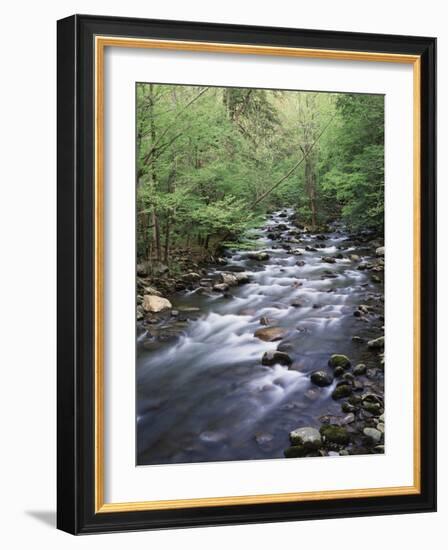 Tennessee, Great Smoky Mountains National Park, a Mountain Stream-Christopher Talbot Frank-Framed Photographic Print