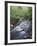 Tennessee, Great Smoky Mountains National Park, a Mountain Stream-Christopher Talbot Frank-Framed Photographic Print