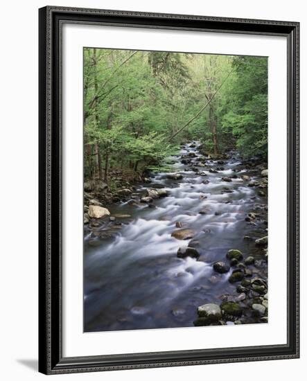 Tennessee, Great Smoky Mountains National Park, a Mountain Stream-Christopher Talbot Frank-Framed Photographic Print