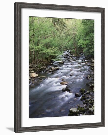 Tennessee, Great Smoky Mountains National Park, a Mountain Stream-Christopher Talbot Frank-Framed Photographic Print