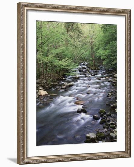 Tennessee, Great Smoky Mountains National Park, a Mountain Stream-Christopher Talbot Frank-Framed Photographic Print