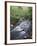 Tennessee, Great Smoky Mountains National Park, a Mountain Stream-Christopher Talbot Frank-Framed Photographic Print