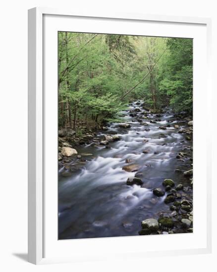 Tennessee, Great Smoky Mountains National Park, a Mountain Stream-Christopher Talbot Frank-Framed Photographic Print