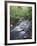 Tennessee, Great Smoky Mountains National Park, a Mountain Stream-Christopher Talbot Frank-Framed Photographic Print