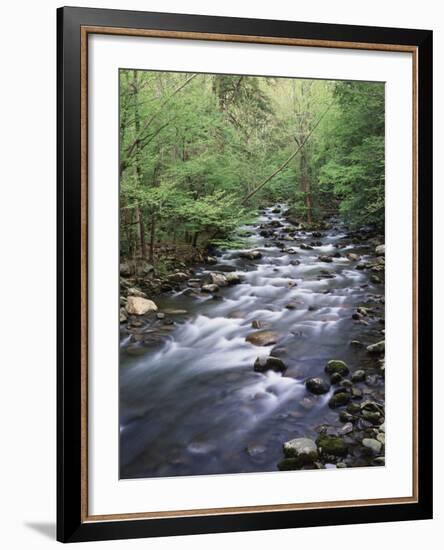 Tennessee, Great Smoky Mountains National Park, a Mountain Stream-Christopher Talbot Frank-Framed Photographic Print