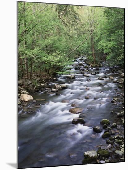 Tennessee, Great Smoky Mountains National Park, a Mountain Stream-Christopher Talbot Frank-Mounted Photographic Print