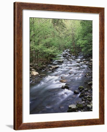 Tennessee, Great Smoky Mountains National Park, a Mountain Stream-Christopher Talbot Frank-Framed Photographic Print