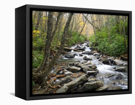 Tennessee, Great Smoky Mountains National Park, Alum Cave Creek-Jamie & Judy Wild-Framed Premier Image Canvas