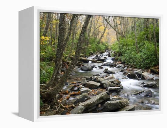 Tennessee, Great Smoky Mountains National Park, Alum Cave Creek-Jamie & Judy Wild-Framed Premier Image Canvas