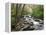 Tennessee, Great Smoky Mountains National Park, Alum Cave Creek-Jamie & Judy Wild-Framed Premier Image Canvas