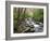 Tennessee, Great Smoky Mountains National Park, Alum Cave Creek-Jamie & Judy Wild-Framed Photographic Print