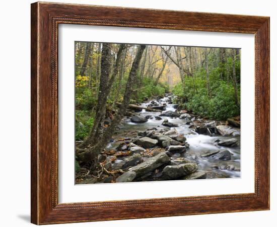 Tennessee, Great Smoky Mountains National Park, Alum Cave Creek-Jamie & Judy Wild-Framed Photographic Print