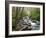 Tennessee, Great Smoky Mountains National Park, Alum Cave Creek-Jamie & Judy Wild-Framed Photographic Print