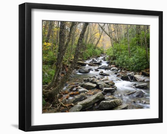 Tennessee, Great Smoky Mountains National Park, Alum Cave Creek-Jamie & Judy Wild-Framed Photographic Print