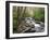 Tennessee, Great Smoky Mountains National Park, Alum Cave Creek-Jamie & Judy Wild-Framed Photographic Print