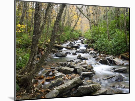 Tennessee, Great Smoky Mountains National Park, Alum Cave Creek-Jamie & Judy Wild-Mounted Photographic Print