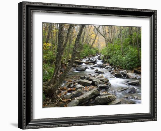 Tennessee, Great Smoky Mountains National Park, Alum Cave Creek-Jamie & Judy Wild-Framed Photographic Print