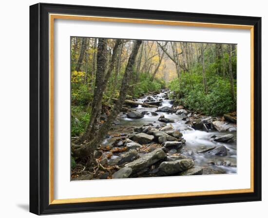 Tennessee, Great Smoky Mountains National Park, Alum Cave Creek-Jamie & Judy Wild-Framed Photographic Print
