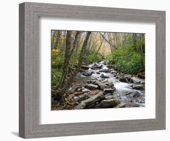 Tennessee, Great Smoky Mountains National Park, Alum Cave Creek-Jamie & Judy Wild-Framed Photographic Print