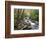 Tennessee, Great Smoky Mountains National Park, Alum Cave Creek-Jamie & Judy Wild-Framed Photographic Print