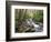 Tennessee, Great Smoky Mountains National Park, Alum Cave Creek-Jamie & Judy Wild-Framed Photographic Print