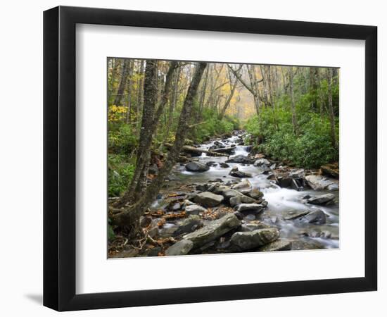 Tennessee, Great Smoky Mountains National Park, Alum Cave Creek-Jamie & Judy Wild-Framed Photographic Print