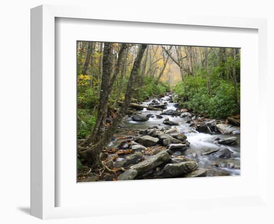 Tennessee, Great Smoky Mountains National Park, Alum Cave Creek-Jamie & Judy Wild-Framed Photographic Print