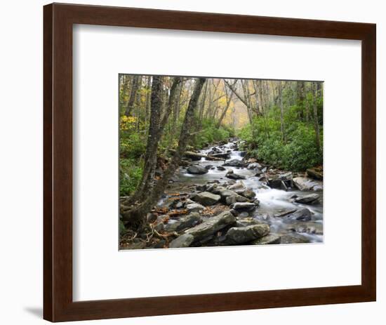 Tennessee, Great Smoky Mountains National Park, Alum Cave Creek-Jamie & Judy Wild-Framed Photographic Print