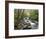 Tennessee, Great Smoky Mountains National Park, Alum Cave Creek-Jamie & Judy Wild-Framed Photographic Print