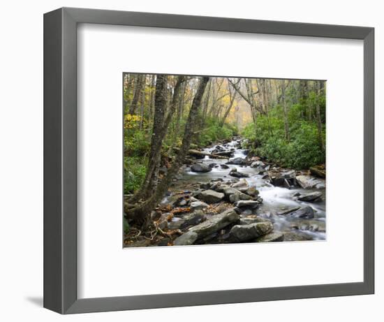 Tennessee, Great Smoky Mountains National Park, Alum Cave Creek-Jamie & Judy Wild-Framed Photographic Print