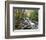 Tennessee, Great Smoky Mountains National Park, Alum Cave Creek-Jamie & Judy Wild-Framed Photographic Print