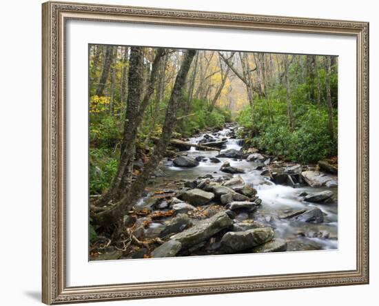 Tennessee, Great Smoky Mountains National Park, Alum Cave Creek-Jamie & Judy Wild-Framed Premium Photographic Print