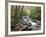 Tennessee, Great Smoky Mountains National Park, Alum Cave Creek-Jamie & Judy Wild-Framed Premium Photographic Print