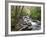 Tennessee, Great Smoky Mountains National Park, Alum Cave Creek-Jamie & Judy Wild-Framed Premium Photographic Print