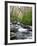 Tennessee, Great Smoky Mountains National Park, Alum Cave Creek-Jamie & Judy Wild-Framed Photographic Print