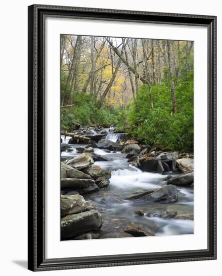 Tennessee, Great Smoky Mountains National Park, Alum Cave Creek-Jamie & Judy Wild-Framed Photographic Print