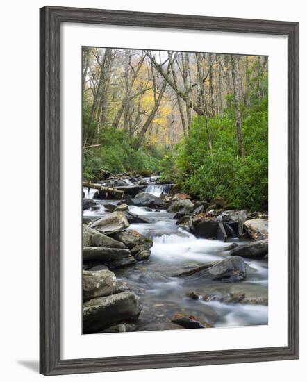 Tennessee, Great Smoky Mountains National Park, Alum Cave Creek-Jamie & Judy Wild-Framed Photographic Print