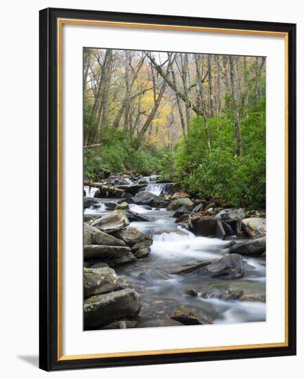 Tennessee, Great Smoky Mountains National Park, Alum Cave Creek-Jamie & Judy Wild-Framed Photographic Print