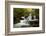 Tennessee, Great Smoky Mountains National Park. Autumn Trees and Waterfall on the Little River-Judith Zimmerman-Framed Photographic Print