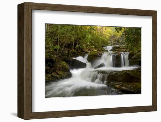 Tennessee, Great Smoky Mountains National Park. Autumn Trees and Waterfall on the Little River-Judith Zimmerman-Framed Photographic Print