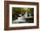 Tennessee, Great Smoky Mountains National Park. Autumn Trees and Waterfall on the Little River-Judith Zimmerman-Framed Photographic Print