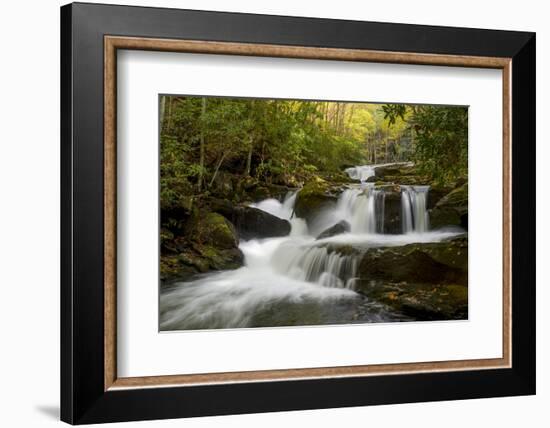 Tennessee, Great Smoky Mountains National Park. Autumn Trees and Waterfall on the Little River-Judith Zimmerman-Framed Photographic Print