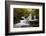 Tennessee, Great Smoky Mountains National Park. Autumn Trees and Waterfall on the Little River-Judith Zimmerman-Framed Photographic Print