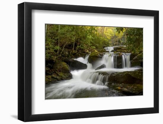 Tennessee, Great Smoky Mountains National Park. Autumn Trees and Waterfall on the Little River-Judith Zimmerman-Framed Photographic Print