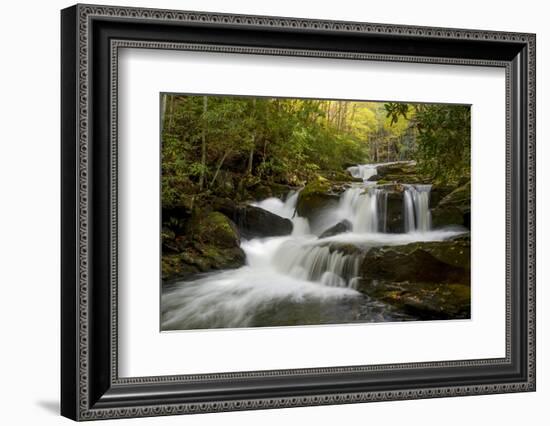 Tennessee, Great Smoky Mountains National Park. Autumn Trees and Waterfall on the Little River-Judith Zimmerman-Framed Photographic Print