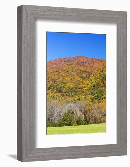 Tennessee, Great Smoky Mountains National Park, Cades Cove-Jamie & Judy Wild-Framed Photographic Print