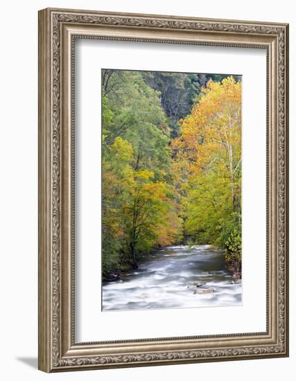 Tennessee, Great Smoky Mountains National Park, Little River-Jamie & Judy Wild-Framed Photographic Print