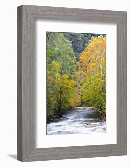 Tennessee, Great Smoky Mountains National Park, Little River-Jamie & Judy Wild-Framed Photographic Print