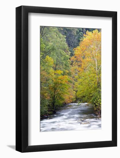 Tennessee, Great Smoky Mountains National Park, Little River-Jamie & Judy Wild-Framed Photographic Print